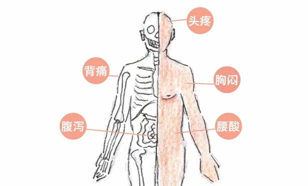 【亚健康】三高、缺钙、铁、锌，竟然是和土壤有关？我们能做些什么？