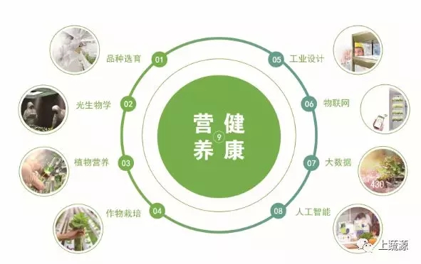 九大领域