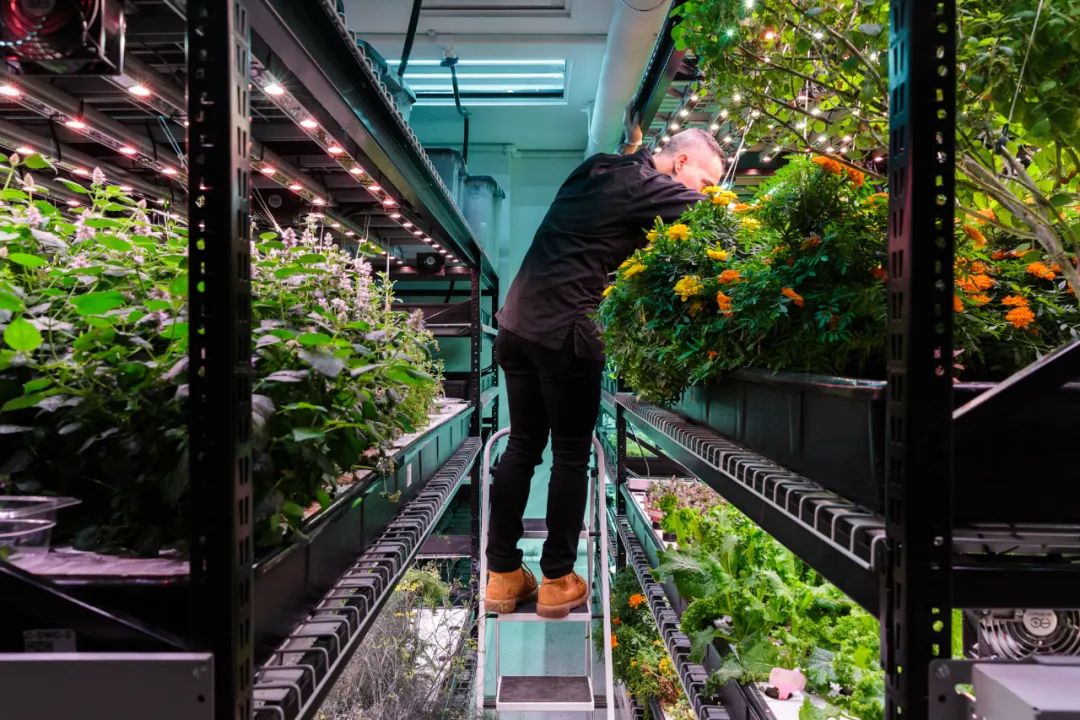 这一新型产业将提升农业产能接近400倍！