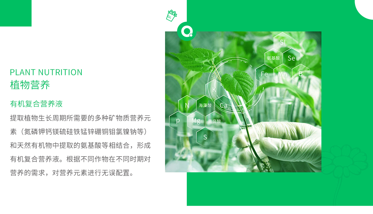 植物营养